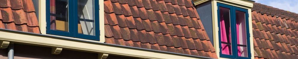Dakrenovatie Silvolde