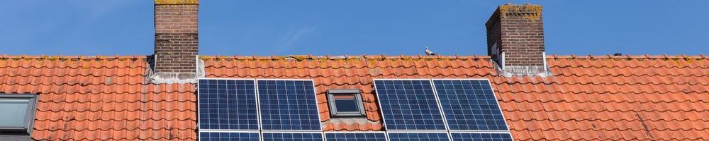 Dakinspectie Silvolde